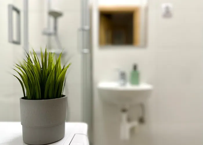 Mmrent Plant Gdańsk